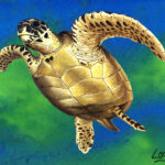 seaturtle painting