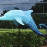 chartwaydolphin