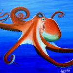 octopus